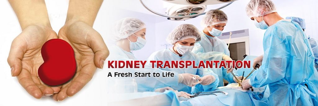 Renal Transplant Surgeon